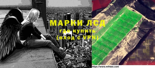 шишки Белокуриха