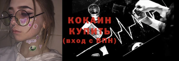 шишки Белокуриха
