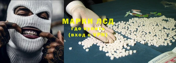 шишки Белокуриха